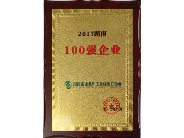 2017湖南100強企業